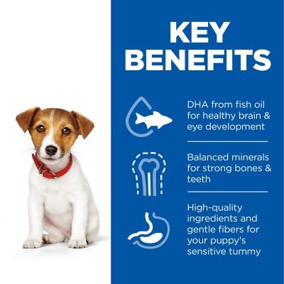 غذای خشک توله سگ نژاد کوچک هیلز با طعم مرغ وزن 1.5 کیلوگرم - نمای 5 غذای خشک توله سگ نژاد کوچک هیلز با طعم مرغ وزن 1.5 کیلوگرم - تصویر 5