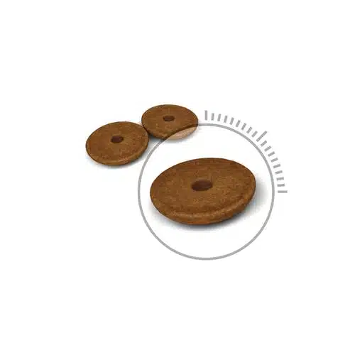 غذای خشک گربه رویال کنین مدل Digestive care بسته 2 کیلوگرمی - نمای 6 غذای خشک گربه رویال کنین مدل Digestive care بسته 2 کیلوگرمی - تصویر 6