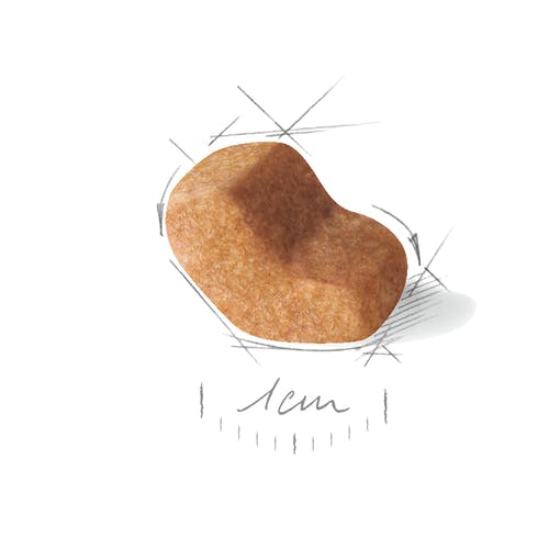 غذای خشگ سگ رویال کنین مدل Shih Tzu Adult وزن 1.5کیلوگرمی - نمای 4 غذای خشگ سگ رویال کنین مدل Shih Tzu Adult وزن 1.5کیلوگرمی - تصویر 4