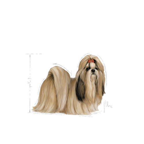 غذای خشگ سگ رویال کنین مدل Shih Tzu Adult وزن 1.5کیلوگرمی - نمای 5 غذای خشگ سگ رویال کنین مدل Shih Tzu Adult وزن 1.5کیلوگرمی - تصویر 5