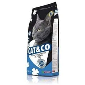 غذای خشک گربه کت اند کو با طعم ماهی وزن ۲ کیلوگرم غذای خشک گربه کت اند کو با طعم ماهی وزن ۲ کیلوگرم - تصویر اصلی محصول