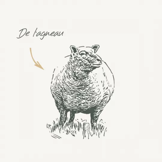 غذای خشک سگ بالغ با گوارش حساس بابین با طعم بره وزن 3 کیلوگرم - نمای 3 غذای خشک سگ بالغ با گوارش حساس بابین با طعم بره وزن 3 کیلوگرم - تصویر 3