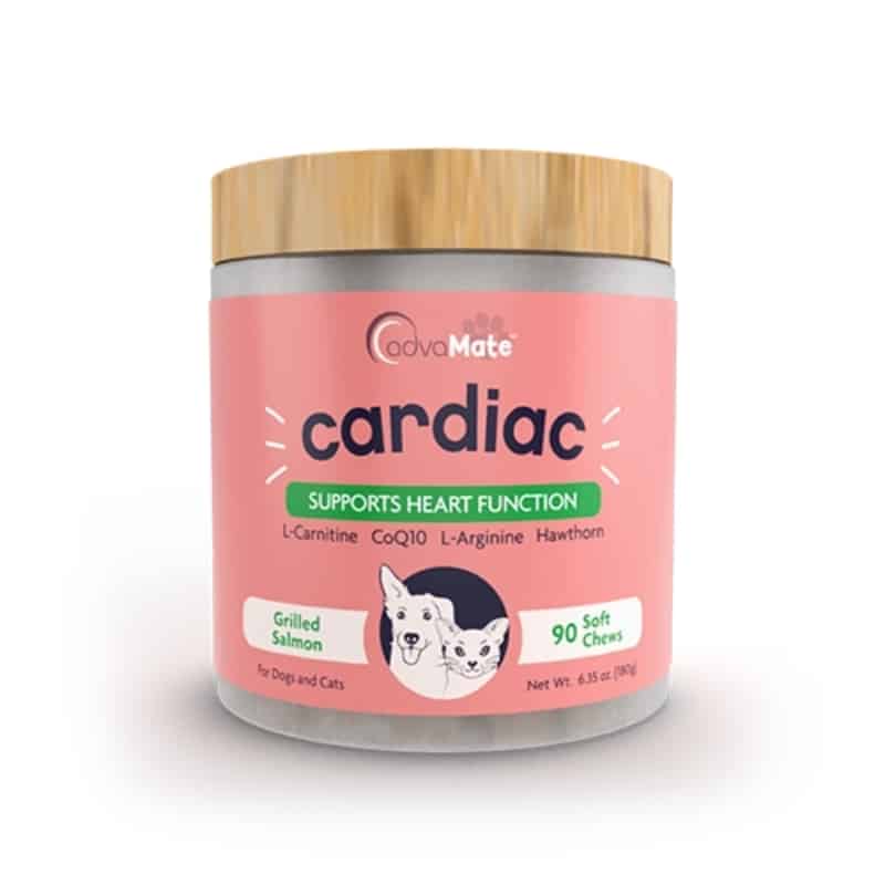 قرص جویدنی مکمل قلب سگ و گربه ادواکر آمریکا – تقویت و درمان قلب، ۹۰ عددی - نمای 3 قرص جویدنی مکمل قلب سگ و گربه ادواکر آمریکا – تقویت و درمان قلب، ۹۰ عددی - تصویر 3