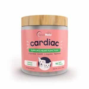 قرص جویدنی مکمل قلب سگ و گربه ادواکر آمریکا – تقویت و درمان قلب، ۹۰ عددی قرص جویدنی مکمل قلب سگ و گربه ادواکر آمریکا – تقویت و درمان قلب، ۹۰ عددی - تصویر اصلی محصول