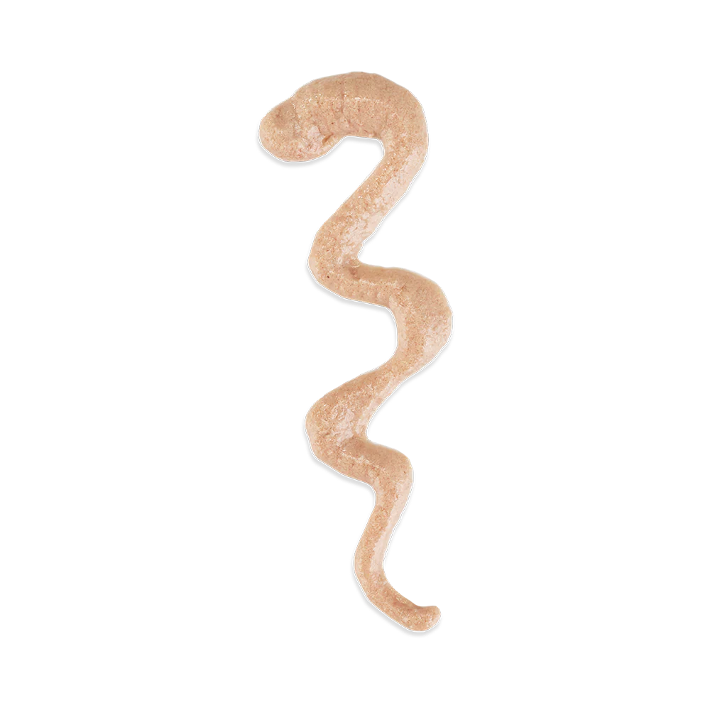 بستنی گربه شسیر با طعم مرغ – ۱ عدد - نمای 4 بستنی گربه شسیر با طعم مرغ – ۱ عدد - تصویر 4