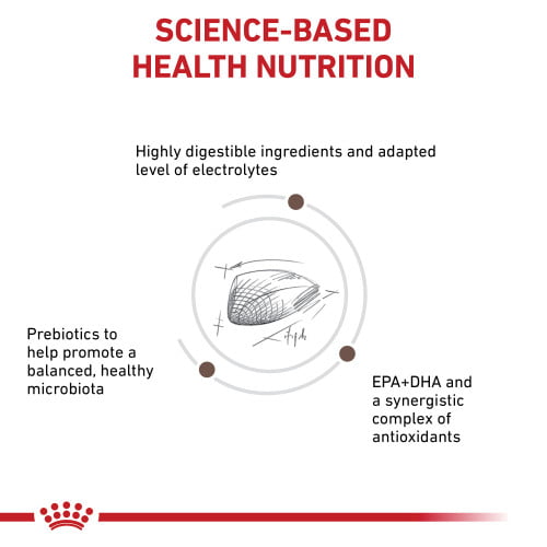غذای رویال کنین گاسترو گربه (Gastrointestinal) – بسته ۱ کیلویی (فله) - نمای 7 غذای رویال کنین گاسترو گربه (Gastrointestinal) – بسته ۱ کیلویی (فله) - تصویر 7