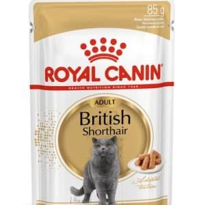پوچ گربه رویال کنین مدل British Shorthair بسته 85 گرمی پوچ گربه رویال کنین مدل British Shorthair بسته 85 گرمی - تصویر اصلی محصول
