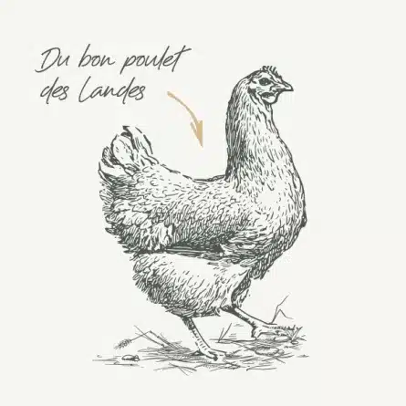 غذای درمانی گربه بابین مدل دایجستیو (مشکلات گوارشی) بسته ۱.۵ کیلویی - نمای 3 غذای درمانی گربه بابین مدل دایجستیو (مشکلات گوارشی) بسته ۱.۵ کیلویی - تصویر 3