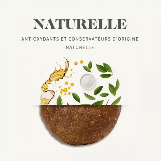 غذای خشک گربه بالغ بابین مدل Indoor با طعم مرغ وزن 2 کیلوگرم - نمای 5 غذای خشک گربه بالغ بابین مدل Indoor با طعم مرغ وزن 2 کیلوگرم - تصویر 5