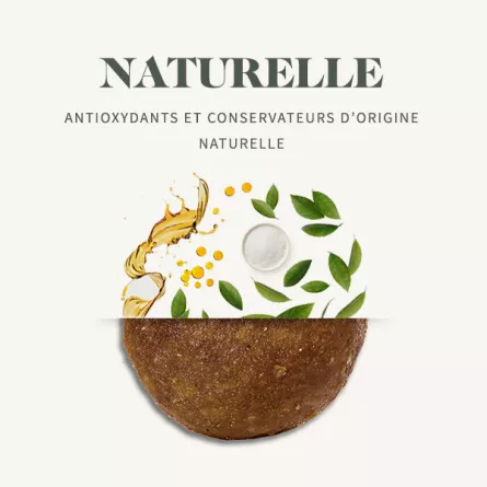 غذای درمانی گربه بابین مدل یورینری (مجاری ادراری) بسته ۱.۵ کیلویی - نمای 4 غذای درمانی گربه بابین مدل یورینری (مجاری ادراری) بسته ۱.۵ کیلویی - تصویر 4