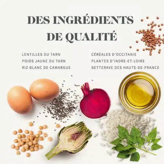 غذای خشک بچه گربه بدون غلات بابین با طعم مرغ وزن 2 کیلوگرم - نمای 3 غذای خشک بچه گربه بدون غلات بابین با طعم مرغ وزن 2 کیلوگرم - تصویر 3