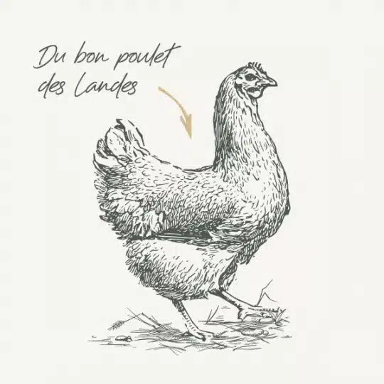 غذای خشک بچه گربه بدون غلات بابین با طعم مرغ وزن 8 کیلوگرم - نمای 4 غذای خشک بچه گربه بدون غلات بابین با طعم مرغ وزن 8 کیلوگرم - تصویر 4