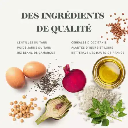 غذای بچه گربه بابین با طعم مرغ بسته ۱.۵ کیلویی - نمای 3 غذای بچه گربه بابین با طعم مرغ بسته ۱.۵ کیلویی - تصویر 3