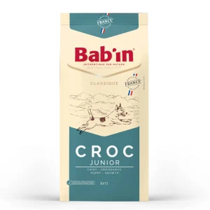 غذای خشک توله سگ بابین مدل کلاسیک بسته 1 کیلوگرمی اورنگ پت غذای خشک توله سگ بابین مدل کلاسیک بسته 1 کیلوگرمی اورنگ پت - تصویر اصلی محصول