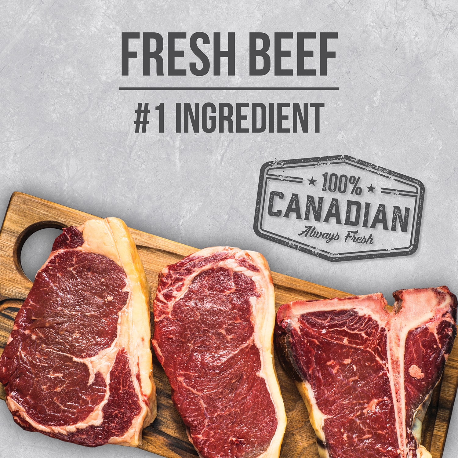 غذای سگ نوترینس مدل اینفیوژن با طعم گوشت – وزن 2.27 کیلوگرم - نمای 7 غذای سگ نوترینس مدل اینفیوژن با طعم گوشت – وزن 2.27 کیلوگرم - تصویر 7