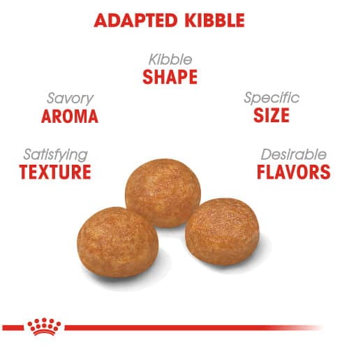 غذای خشک سگ رویال کنین مدل X-Small Adult وزن 1.5 کیلوگرمی - نمای 5 غذای خشک سگ رویال کنین مدل X-Small Adult وزن 1.5 کیلوگرمی - تصویر 5