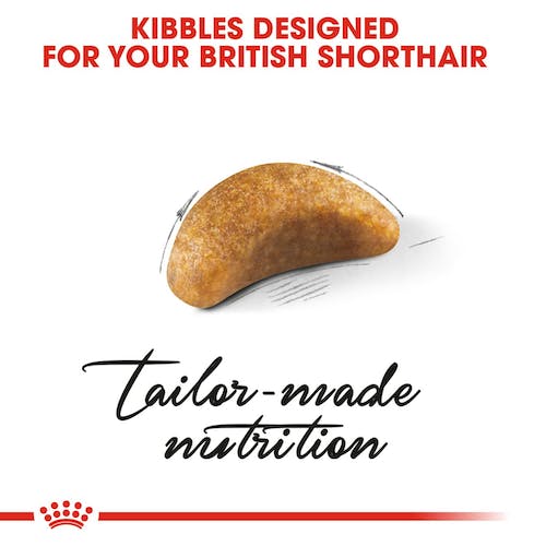 غذای خشک بچه گربه رویال کنین مدل British Kitten وزن 2 کیلوگرم - نمای 4 غذای خشک بچه گربه رویال کنین مدل British Kitten وزن 2 کیلوگرم - تصویر 4