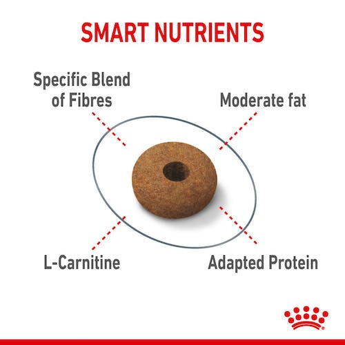 غذای خشک گربه رویال کنین مدل Appetite Control Care وزن 2 کیلوگرم - نمای 8 غذای خشک گربه رویال کنین مدل Appetite Control Care وزن 2 کیلوگرم - تصویر 8