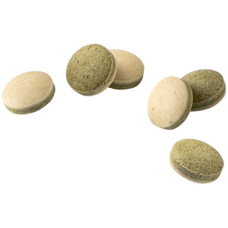 قرص پوست و موی گربه جیم کت (ضد ریزش مو) طعم سیلاژ و بیوتین – بسته ۴۲۵ گرمی - نمای 4 قرص پوست و موی گربه جیم کت (ضد ریزش مو) طعم سیلاژ و بیوتین – بسته ۴۲۵ گرمی - تصویر 4