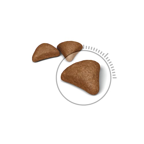 غذای خشک گربه رویال کنین مدل Hairball Care وزن 10 کیلوگرم - نمای 3 غذای خشک گربه رویال کنین مدل Hairball Care وزن 10 کیلوگرم - تصویر 3