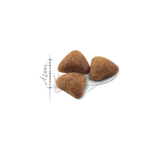 غذای خشک گربه رویال کنین مدل indoor وزن 2 کیلوگرم - نمای 4 غذای خشک گربه رویال کنین مدل indoor وزن 2 کیلوگرم - تصویر 4