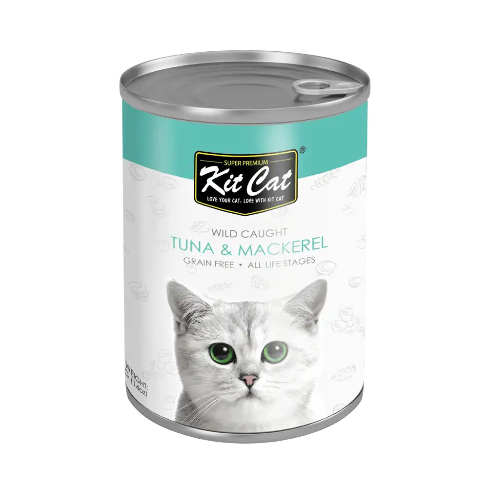 کنسرو گربه کیت کت مدل ماهی تن و ماکارل وزن 400 گرم - نمای 4 کنسرو گربه کیت کت مدل ماهی تن و ماکارل وزن 400 گرم - تصویر 4