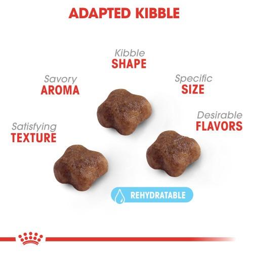 غذای خشک گربه رویال کنین مدل Mother & Babycat بسته 2 کیلوگرمی - تصویر 3