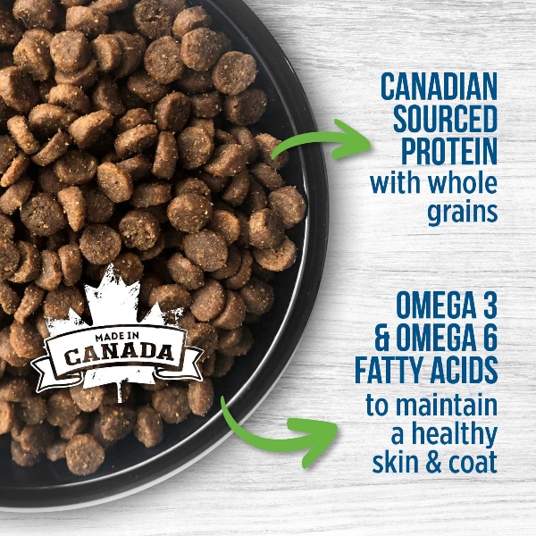 غذای بچه گربه نوترینس مدل اورجینال با طعم مرغ وزن 2.5 کیلوگرم - نمای 5 غذای بچه گربه نوترینس مدل اورجینال با طعم مرغ وزن 2.5 کیلوگرم - تصویر 5