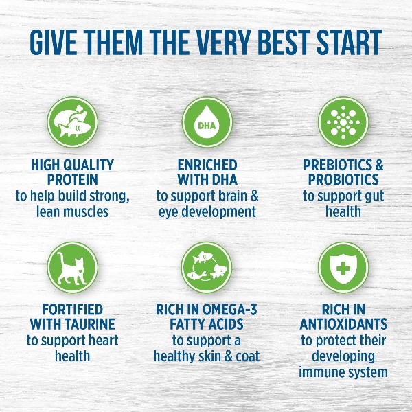 غذای بچه گربه نوترینس مدل اورجینال با طعم مرغ وزن 2.5 کیلوگرم - نمای 6 غذای بچه گربه نوترینس مدل اورجینال با طعم مرغ وزن 2.5 کیلوگرم - تصویر 6