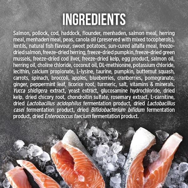 غذای گربه نوترینس مدل ساب زیرو با طعم ماهی وزن 2.27 کیلوگرم - نمای 8 غذای گربه نوترینس مدل ساب زیرو با طعم ماهی وزن 2.27 کیلوگرم - تصویر 8