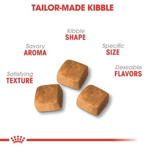 غذای رویال کنین بچه گربه پرشین (Persian Kitten) بسته 2 کیلوگرمی - نمای 5 غذای رویال کنین بچه گربه پرشین (Persian Kitten) بسته 2 کیلوگرمی - تصویر 5