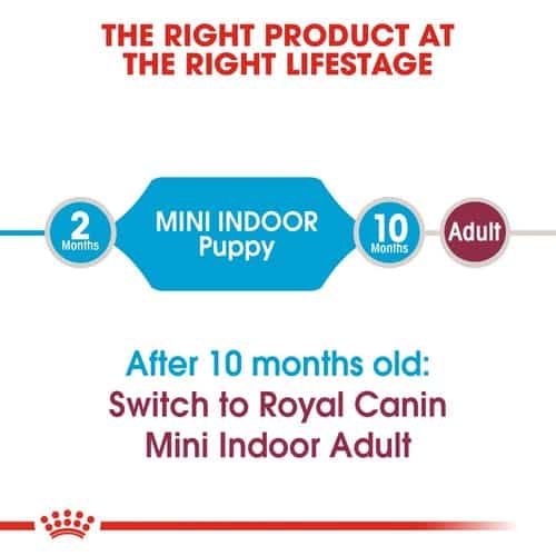 غذای خشک سگ رویال کنین مدل Mini Indoor Puppy وزن 1.5 کیلوگرم - نمای 6 غذای خشک سگ رویال کنین مدل Mini Indoor Puppy وزن 1.5 کیلوگرم - تصویر 6