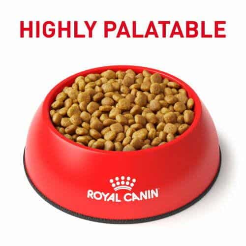 غذای خشک سگ رویال کنین مدل Urinary S/O وزن 2 کیلوگرم - نمای 4 غذای خشک سگ رویال کنین مدل Urinary S/O وزن 2 کیلوگرم - تصویر 4