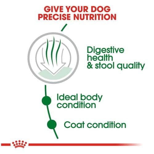 غذای خشک سگ رویال کنین مدل Mini indoor adult بسته 1.5 کیلوگرمی - نمای 3 غذای خشک سگ رویال کنین مدل Mini indoor adult بسته 1.5 کیلوگرمی - تصویر 3