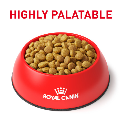 غذای گربه رویال کنین یورینری اس او (Urinary S/O) وزن 3.5 کیلگرمی - نمای 5 غذای گربه رویال کنین یورینری اس او (Urinary S/O) وزن 3.5 کیلگرمی - تصویر 5