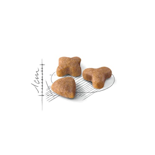 غذای خشک گربه رویال کنین سنسیبل (Sensible) – وزن 2 کیلوگرم - نمای 4 غذای خشک گربه رویال کنین سنسیبل (Sensible) – وزن 2 کیلوگرم - تصویر 4