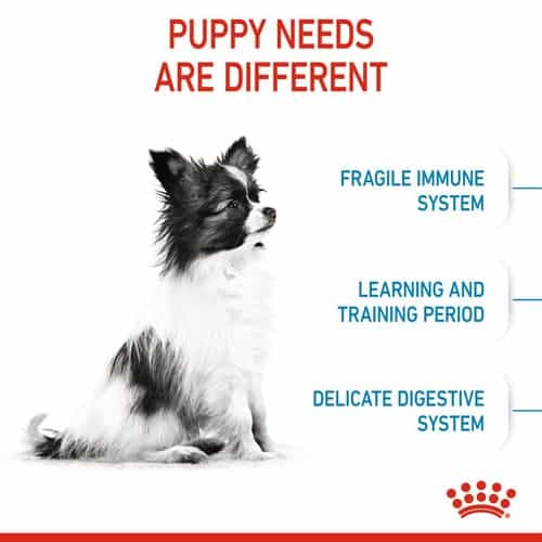 غذای سگ رویال کنین ایکس اسمال پاپی (X-Small Puppy) وزن 1.5 کیلوگرمی - نمای 3 غذای سگ رویال کنین ایکس اسمال پاپی (X-Small Puppy) وزن 1.5 کیلوگرمی - تصویر 3