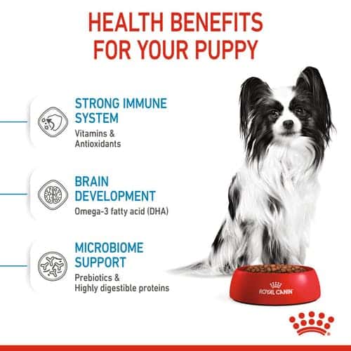 غذای سگ رویال کنین ایکس اسمال پاپی (X-Small Puppy) وزن 1.5 کیلوگرمی - نمای 4 غذای سگ رویال کنین ایکس اسمال پاپی (X-Small Puppy) وزن 1.5 کیلوگرمی - تصویر 4