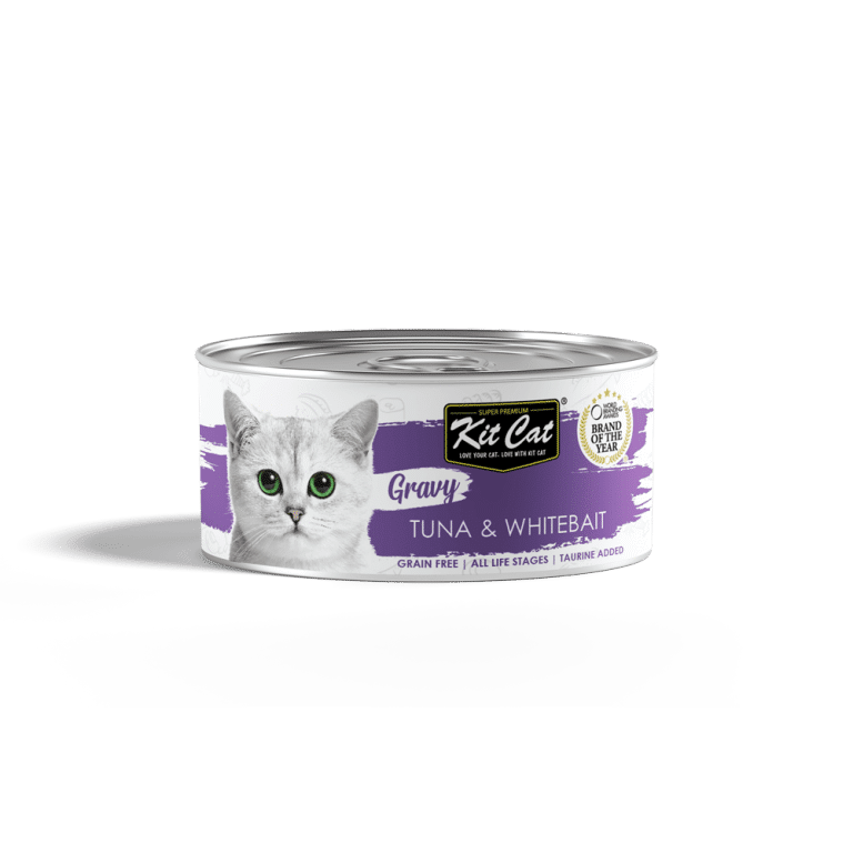 کنسرو گربه کیت کت مدل تن و ماهی وایت بیت در سس وزن 70 گرم - نمای 2 کنسرو گربه کیت کت مدل تن و ماهی وایت بیت در سس وزن 70 گرم - تصویر 2