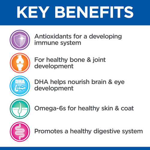 غذای خشک غنی شده توله سگ نژاد کوچک هیلز مدل Growth با طعم مرغ وزن 2 کیلوگرم - نمای 5 غذای خشک غنی شده توله سگ نژاد کوچک هیلز مدل Growth با طعم مرغ وزن 2 کیلوگرم - تصویر 5