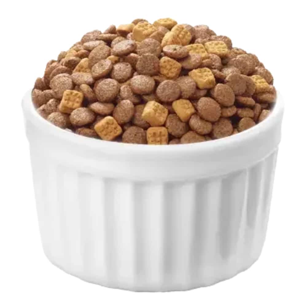 غذای خشک گربه ونپی با طعم سالمون (سفارش آمریکا) – بسته ۱.۵ کیلویی - نمای 4 غذای خشک گربه ونپی با طعم سالمون (سفارش آمریکا) – بسته ۱.۵ کیلویی - تصویر 4