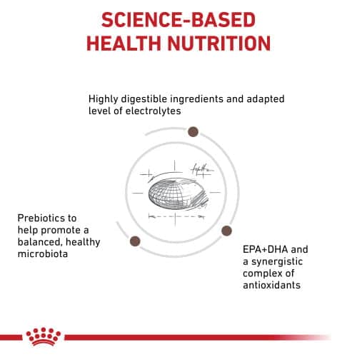 غذای خشک گربه رویال کنین مدل Gastro Moderate Calorie وزن 2 کیلوگرم - نمای 5 غذای خشک گربه رویال کنین مدل Gastro Moderate Calorie وزن 2 کیلوگرم - تصویر 5